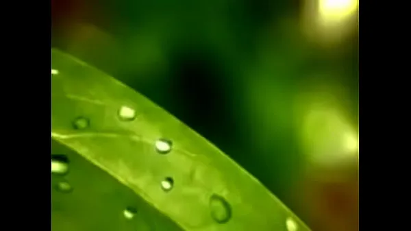 Žhavé Short video clip-nature jemné klipy