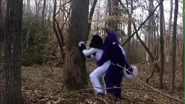 Gorące Fursuit Couple Mating in Woods świetne klipy